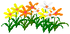 102~50 16.2kb