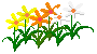 90~50 13.0b