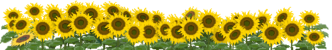 ĂGIFAjf Ђ܂̉