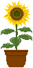ĂGIFAjf Ђ܂