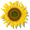 34~33 1.45kb