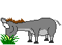 oGIFAjf Ho 1