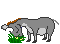 oGIFAjf Ho 4