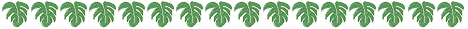 Xe C