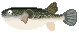 tOGIFAjf Ƃӂj
