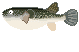 tOGIFAjf Ƃӂjœ{