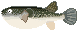 tOGIFAjf Ƃӂ