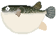 tOGIFAjf Ƃӂ{